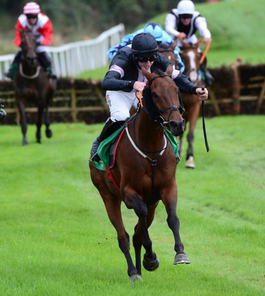 Listowel Races @Listowelraces.ie