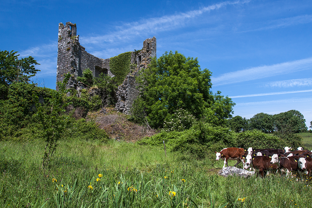 Drominagh Castle, Co. Tipperary