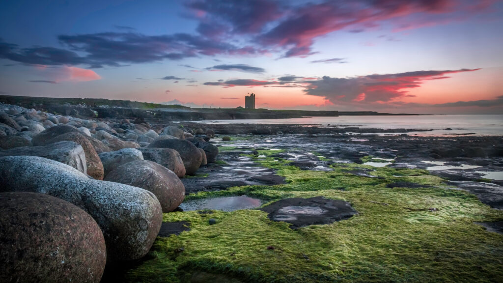 Big round rocks and stones with green seaweed at the coast of Easkey Beach, Ireland, with in the background the ruin of a castle-tower under the blue and purple sky after sunset, County Sligo, Ireland