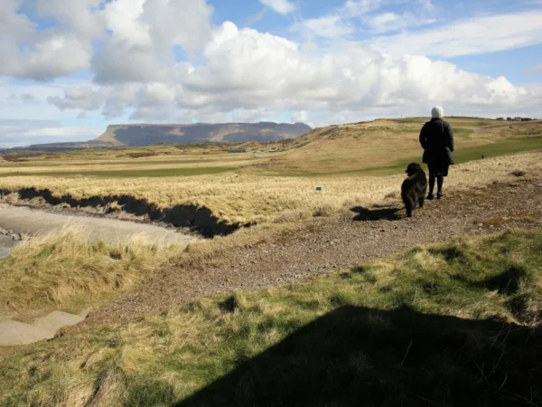 Dog-friendly holiday homes is Sligo, a woman and her dog look at Benbulben in County Sligo, Ireland