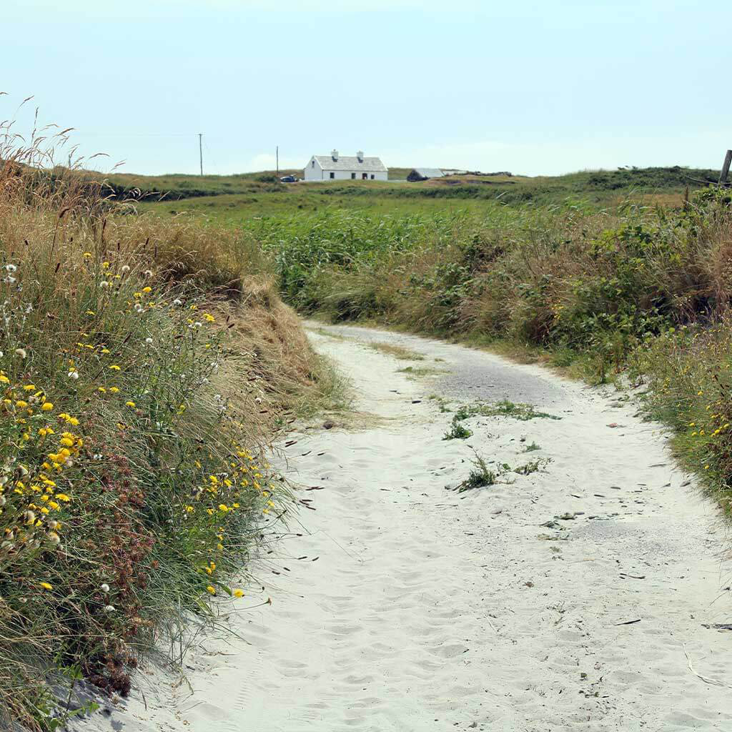 Sandy road and pretty cottage on Heir Island close to Skibbereen in West Cork © Adobe Stock