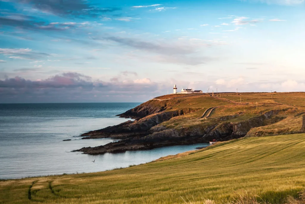 Barley Fields, Galley Head Lighthouse, Clonakilty Distillery, Co Cork