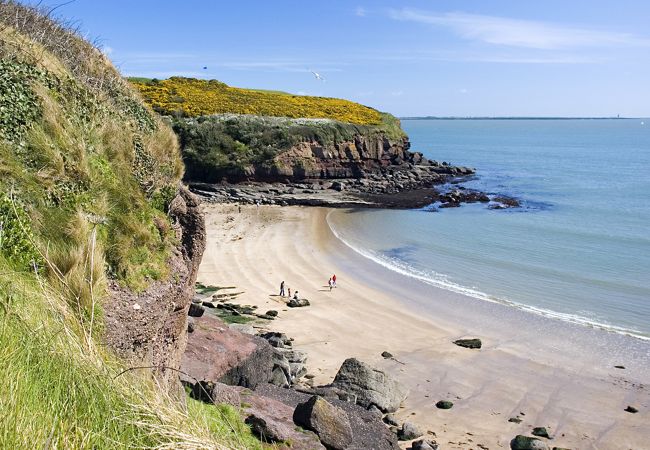 Forest Haven Holiday Home No.6, Dunmore East, Waterford, Ireland